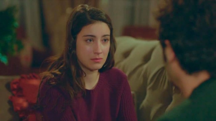 Próximo capítulo: La última noche de Filiz y Baris