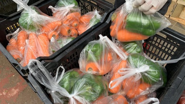 Feria con delivery gratis en Puente Alto: La iniciativa para evitar contagios tras el cierre de las ferias libres