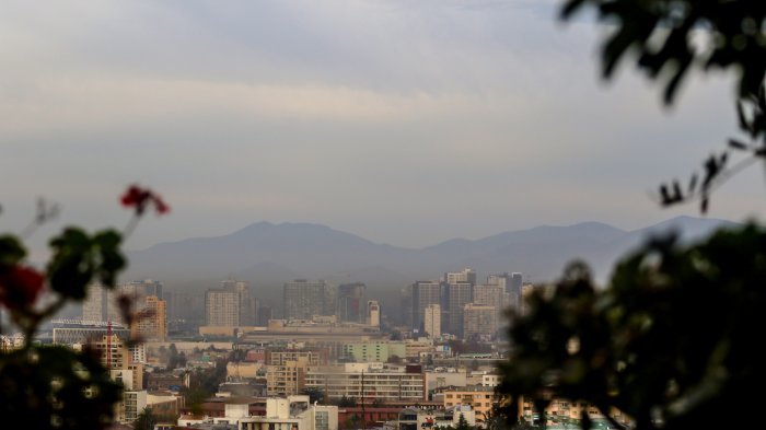 Día Mundial del Medio Ambiente: La paradoja del Coronavirus y su impacto en el planeta