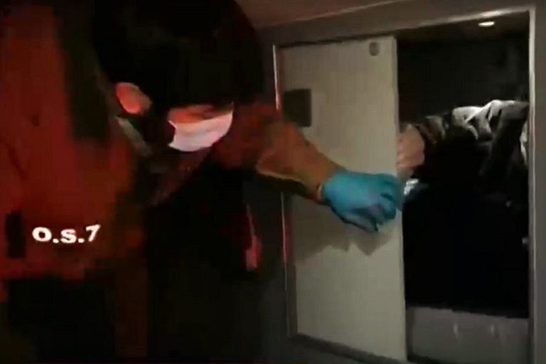 Demon, el perro policial que detectó a pasajero que iba escondido en un bus