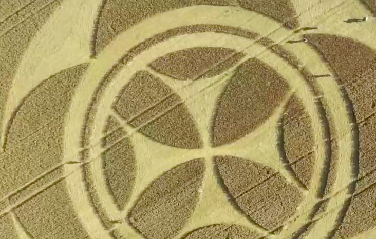Aparición de símbolo templario en un campo de trigo llama la atención en Francia
