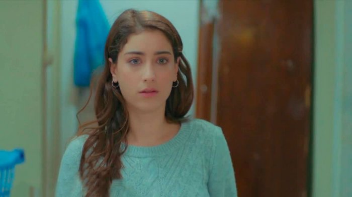 Próximo capítulo: Filiz tomará una importante decisión