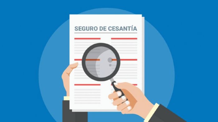 Estos son los nuevos montos que entrega el Seguro de Cesantía tras modificación del Gobierno