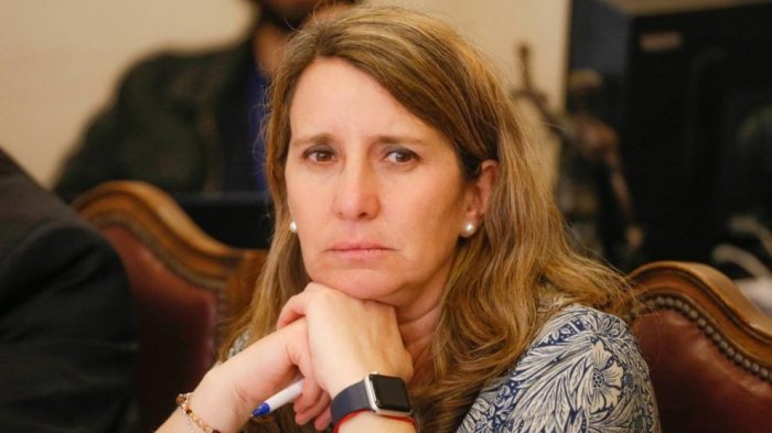 Diputada Karin Luck sobre retiro de fondos de las AFP: 