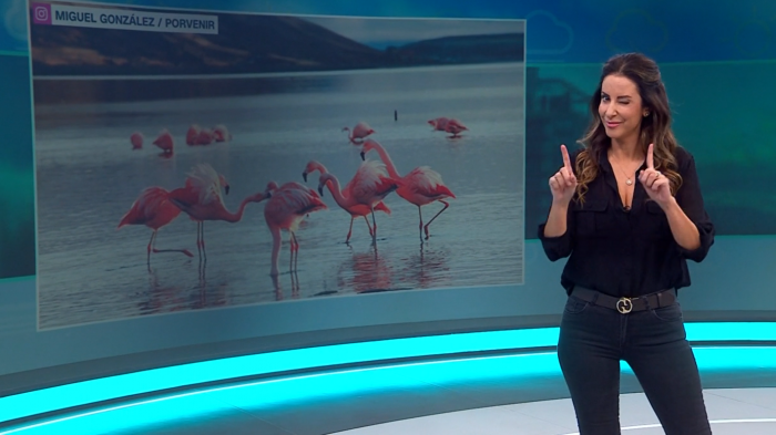 Vanessa Noé te entrega el informe del tiempo para este domingo 19 de julio