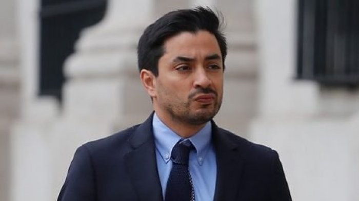 Diputado Álvaro Carter: 