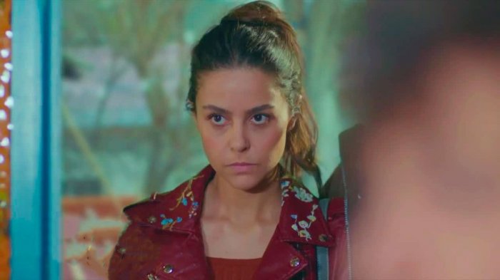 Próximo capítulo: La hermana de Filiz llegará a casa