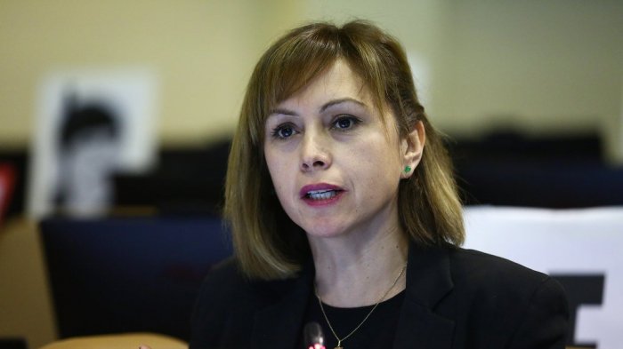 Diputada Loreto Carvajal: 