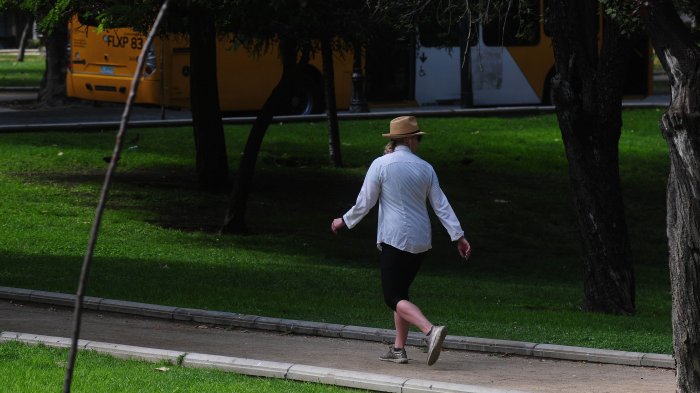 El calor regresó con todo a la zona central: Santiago alcanzó una máxima de 24 grados este martes