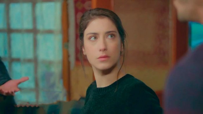 Próximo capítulo: Filiz tomará una decisión