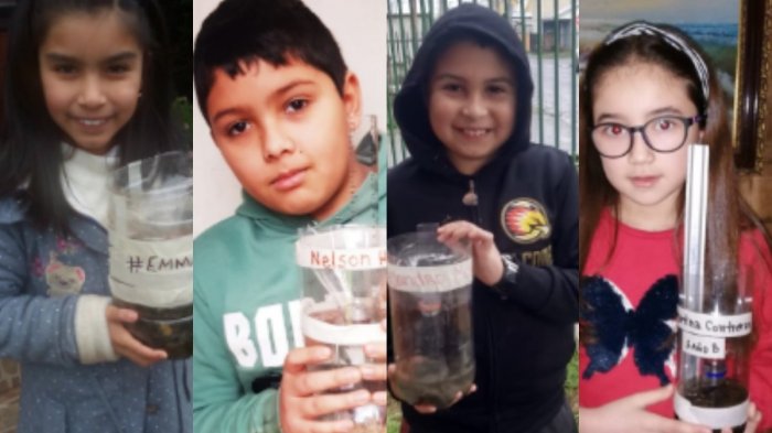 Reporteros de la lluvia: Conoce a los niños “meteorólogos” que informan en Pitrufquén