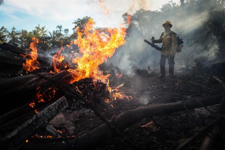 Los focos de incendio en la Amazonía brasileña aumentaron un 28% en julio