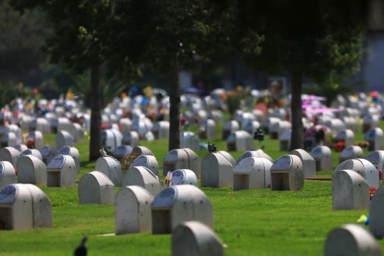 Cementerio exhumó cuerpo sin avisar y ahora deberá pagar una millonaria multa a la familia