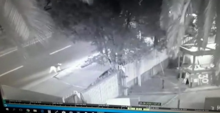 Realizan búsqueda de puma en Huechuraba: Anduvo recorriendo la comuna por la noche