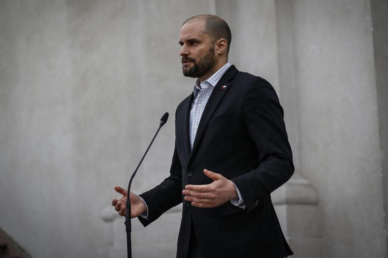 Ministro Bellolio y libertad de Hugo Bustamante: 