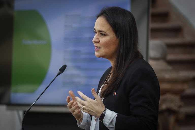 Corte Suprema toma conocimiento de disculpas de subsecretaria Bown, pero no las acepta