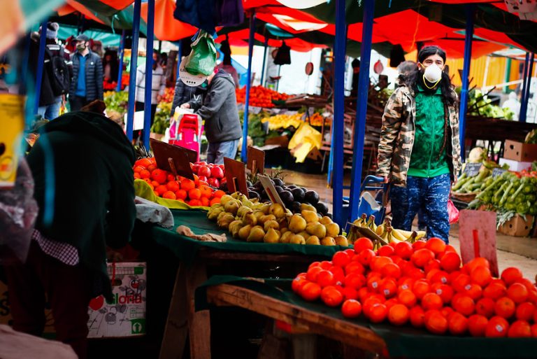 En ferias libres: Las frutas y verduras están en promedio un 32,6% más baratas que en supermercados