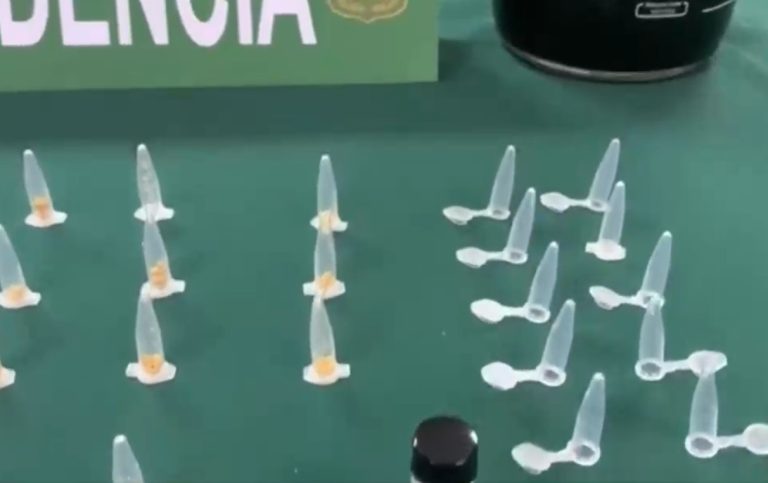 OS7 detuvo a productor de DMT, conocida como 