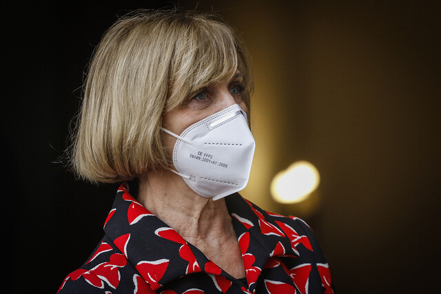 Matthei advierte a los que salgan a 