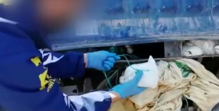 Concejal de Tarapacá evadía controles para transportar droga en su vehículo