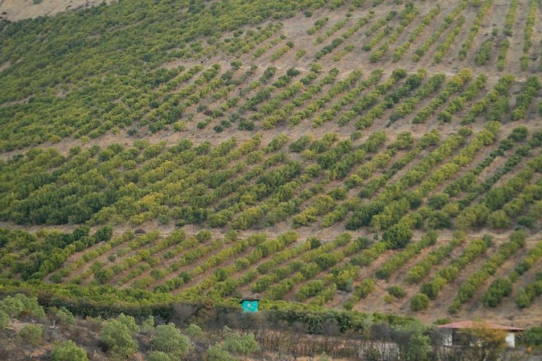 ONU pide que gobierno de Chile no priorice proyectos económicos por sobre el derecho al agua y la salud