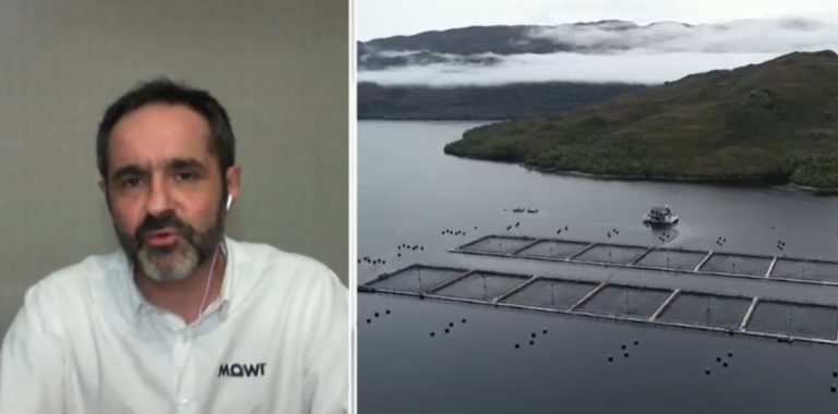 Gerente de Medio Ambiente de salmonera Mowi: 