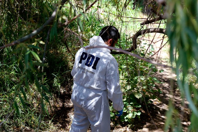 Investigan hallazgo de cuerpo decapitado en camión abandonado en La Pintana