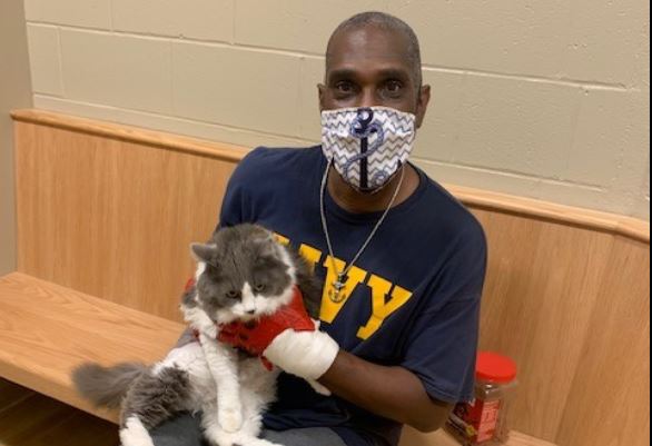 La increíble sorpresa que se llevó un hombre que fue a adoptar un animal a un refugio: Estaba su gato perdido