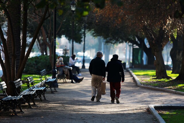 Declaran inadmisible recurso en favor de adultos mayores que buscaba extender horarios de salida