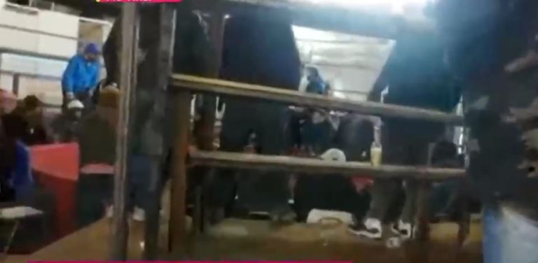 Descubren pelea de gallos clandestina en Lampa: Hubo 20 detenidos