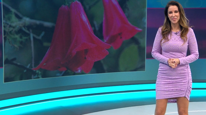 Vanessa Noé te entrega el informe del tiempo para este lunes 31 de agosto