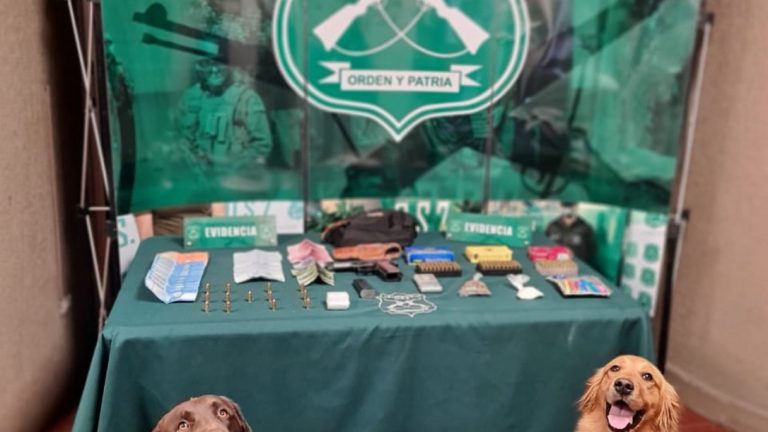 Perros del OS-7 sorprenden a hombre que transportaba drogas y un arma en Quillota
