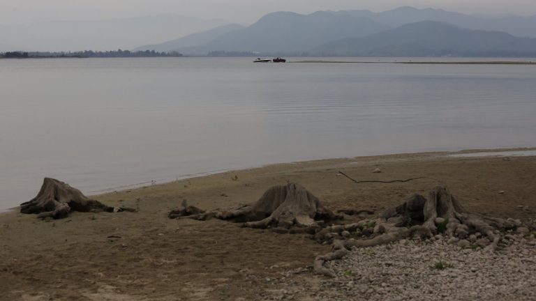 Sequía en Chile: La relación que tiene el estudio de los anillos de los árboles sobre la sequía prolongada en el país