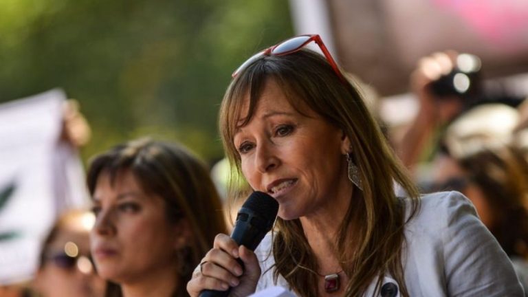 Ana María Gazmuri acusa falta de apoyo del gobierno a Fundación Daya: 