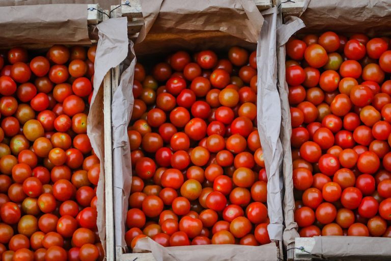 IPC anotó variación de 0,1% en agosto: Suben los arriendos, la carne de pollo, los tomates y la cerveza
