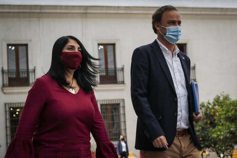 Karla Rubilar tiene su posición clara para el plebiscito: 