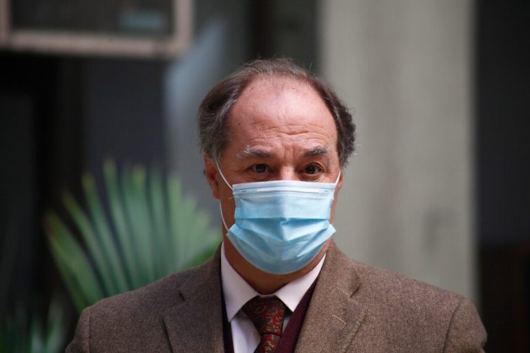 Sutil descartó ser constituyente: 