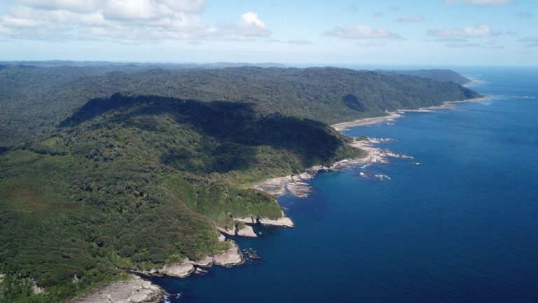 Isla Guafo es puesta en venta por US$ 20 millones: Activistas piden que sea declarada área marina protegida
