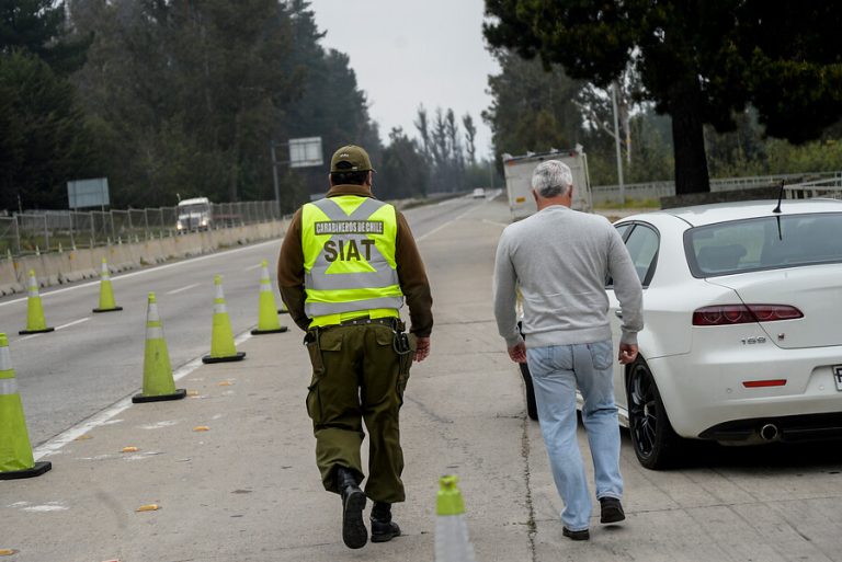 16,77% de narcotest positivos en Fiestas Patrias: Principal droga fue la marihuana