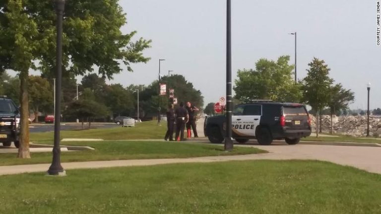 Insólito hallazgo: Así fue la reacción de un hombre que encontró un cerebro varado en la playa