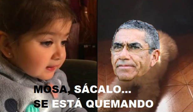 No tuvieron piedad: Los memes que dejó la derrota con dos autogoles de Colo Colo en la Libertadores