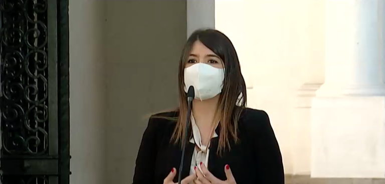 Habilitarán permiso especial para actividades de campaña por el plebiscito