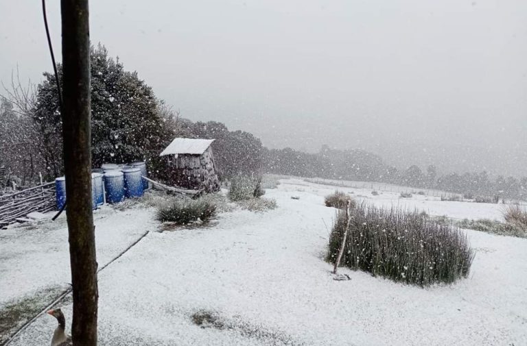 En plena primavera: Inusual nevada sorprendió a habitantes de Chiloé