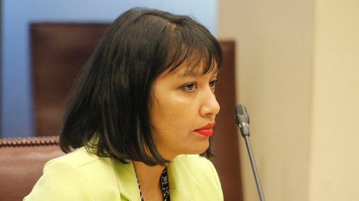 Diputada Natalia Castillo: 