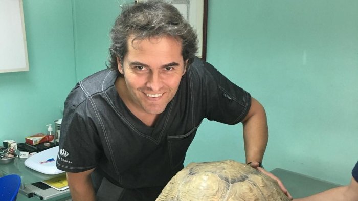 CHV En Casa | Capítulo 107