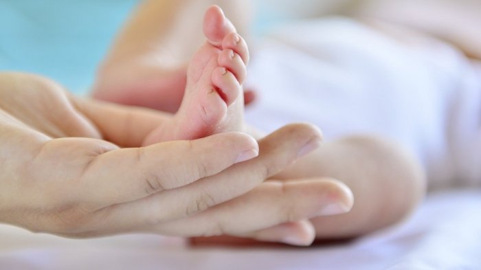 Bono por hijo 2020: Conoce los requisitos para postular y cobrar este aporte monetario