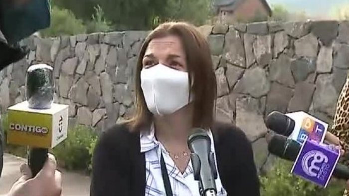 Veterinaria sobre la aparición de pumas en la ciudad: 