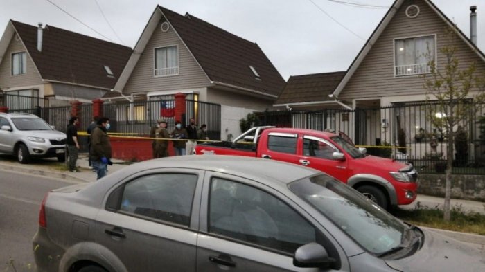 Ladrones robaron seis cachorros bulldog: Violento asalto quedó registrado en cámara de seguridad en Villa Alemana