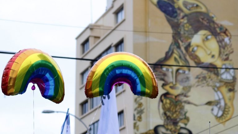 Comisión del Senado aprobó indicación que busca prohibir 