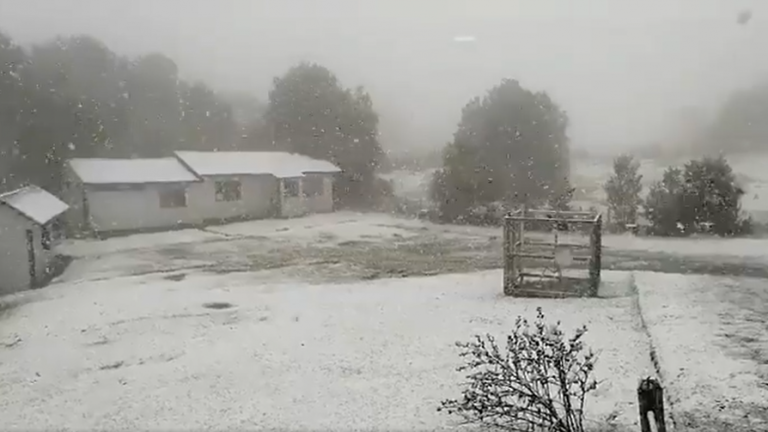 ¿Nevará en otros lugares del sur? Nieve y aguanieve tiñen de blanco a Chiloé